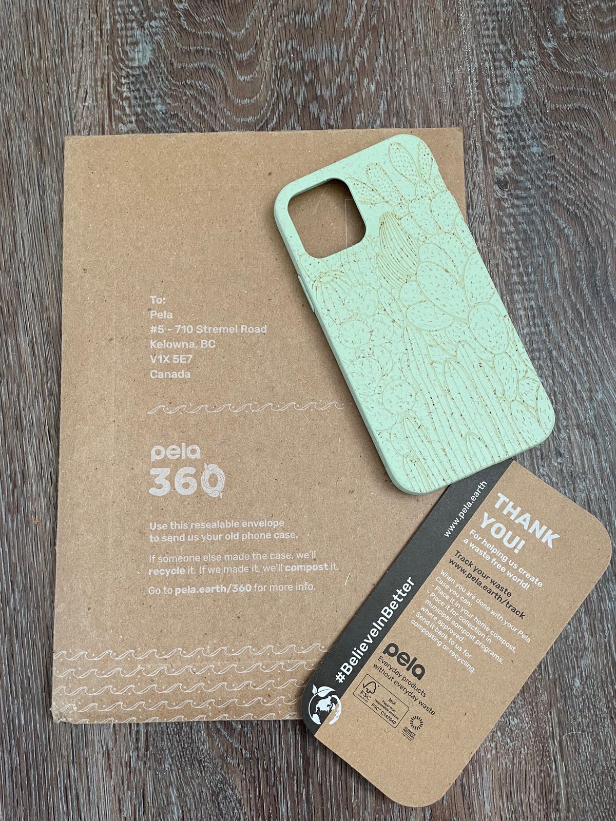 Sage Green Cacti iPhone 12/ iPhone 12 Pro Case – Pela Case