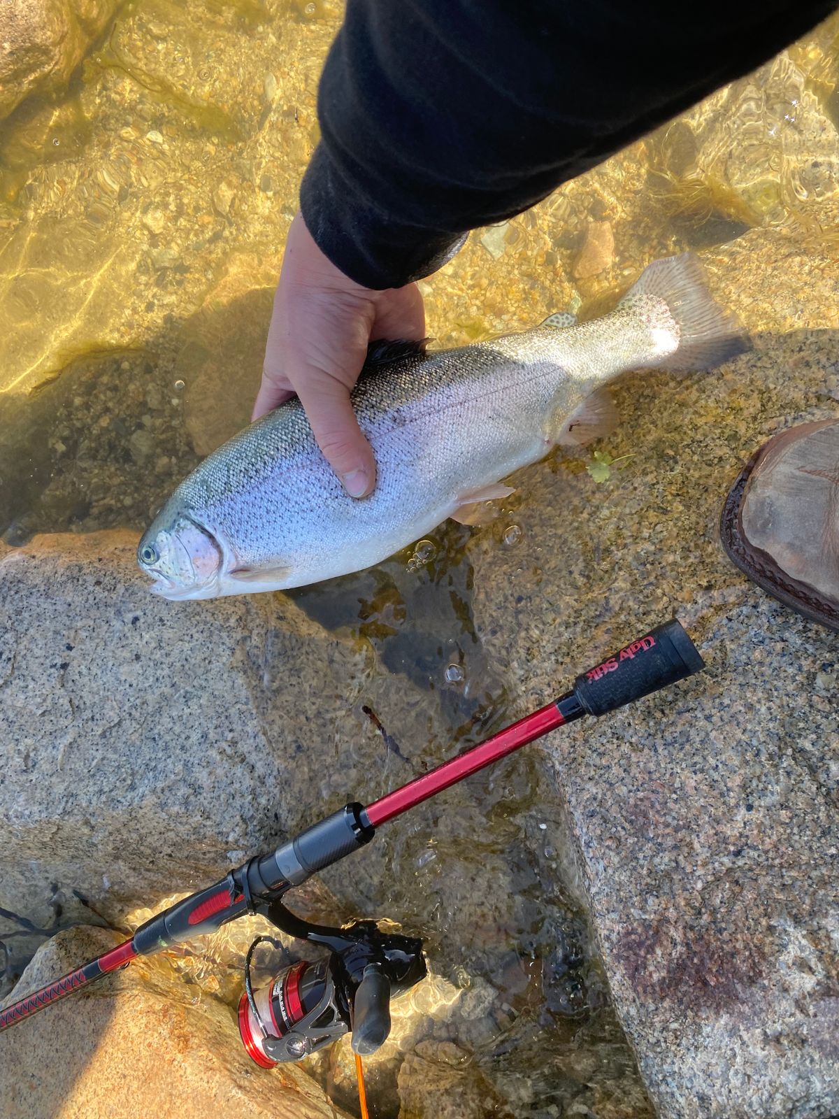 Ugly Stik Carbon Spinning Combo | Ugly Stik
