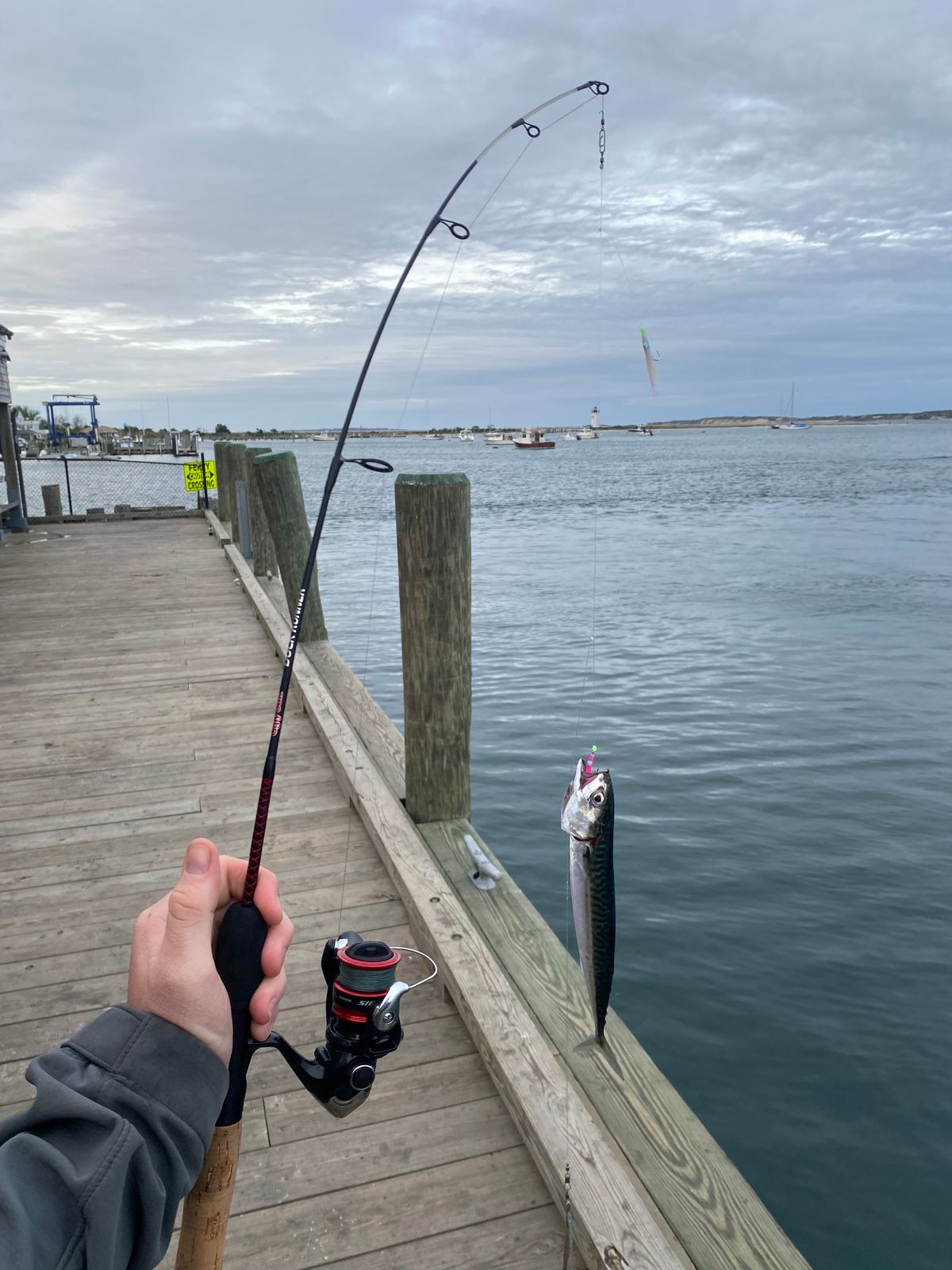 dock fishing pole blue Post 4 Place Rod Holder The ProFISHiency Krazy Americana Dock combo features a 34 fiberglass rod making it the perfect size for fishing around docks Fishing Rods on a Wooden