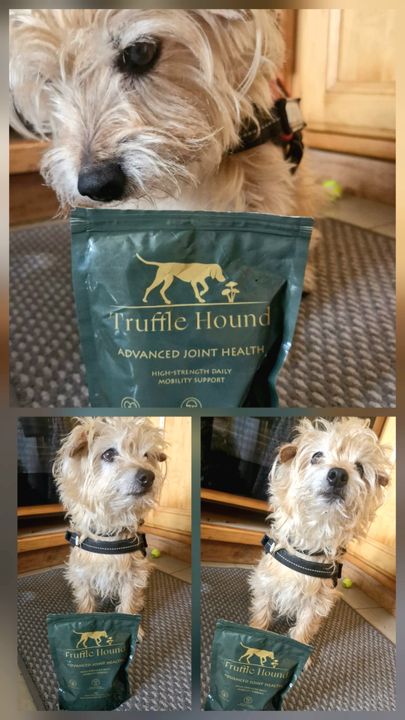 Customer review photo