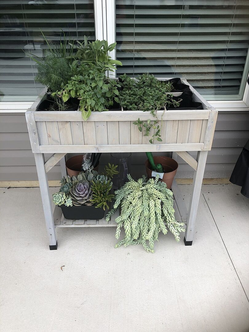VegTrug Herb Planter 8 Pockets: Grey Wash  Eartheasy