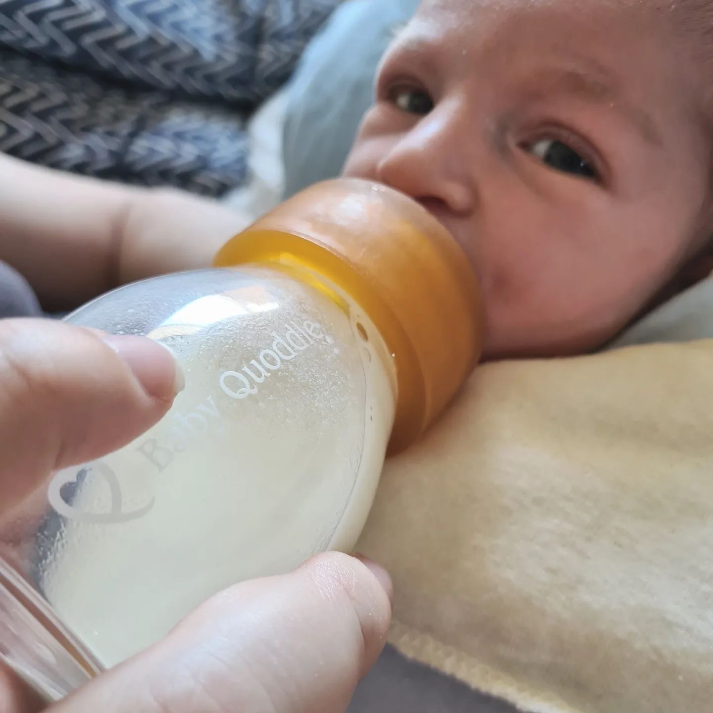 Buy Baby Quoddle Mini Quoddle Glass Bottle Gift Pack Slow Flow