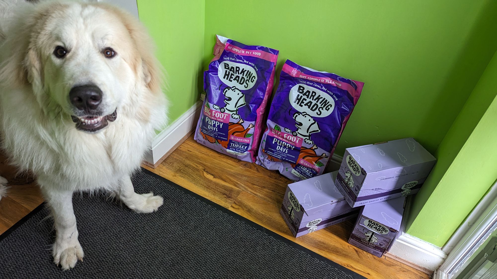 Big Foot Puppy Days Turkey Grain-free Hypoallergenic Dry Dog Food