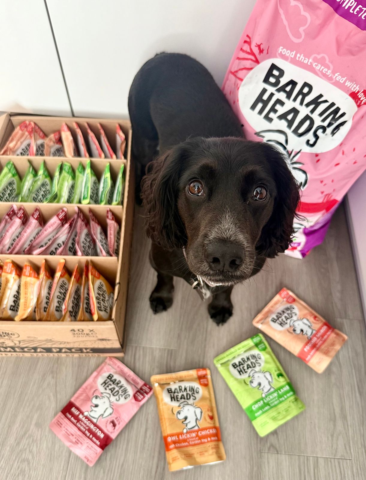 Wet Dog Food Barking Heads Treats Barking Heads Dry Dog Food For