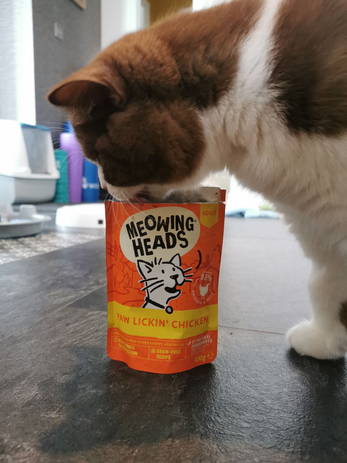 Meowing Heads Mega Pack Wet Cat Food 60 x 100g – Barking Heads & Meowing  Heads
