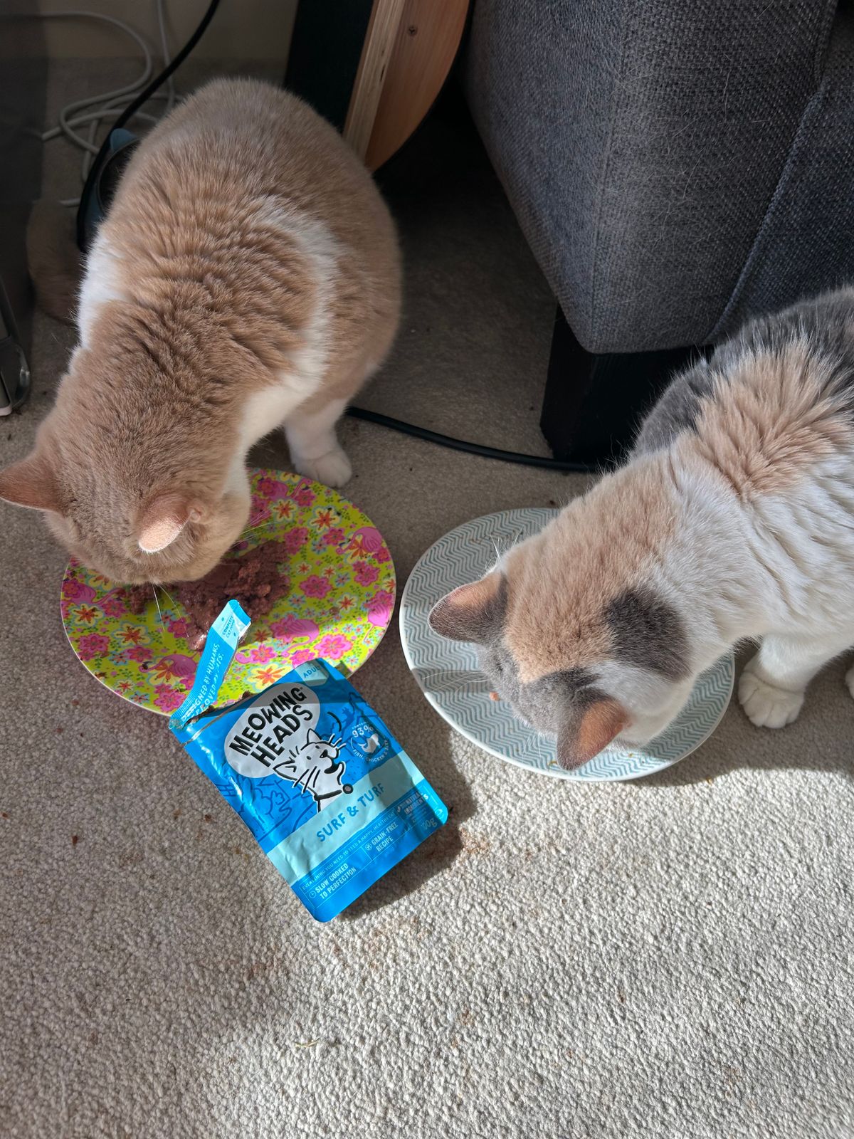 Meowing Heads | Wet Cat Food Variety Pack – Barking Heads & Meowing Heads