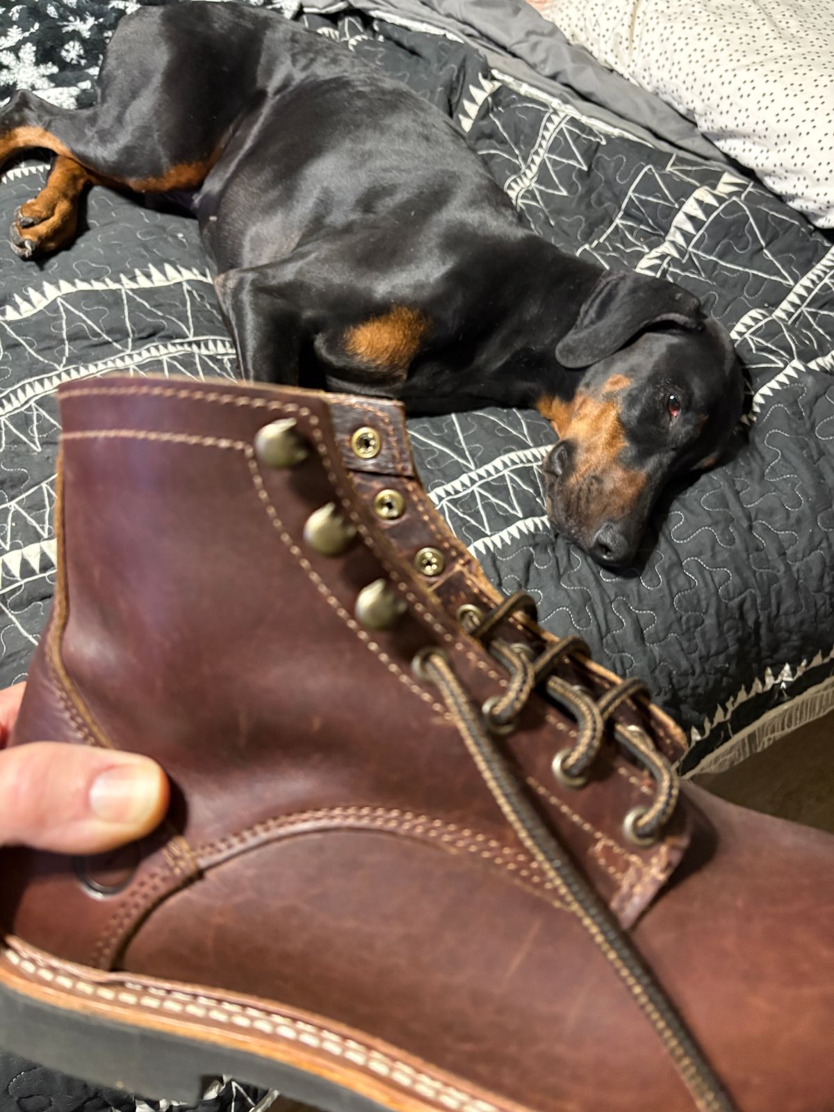 The Bison Lifestyle Boot by Origin® - Oxford – ORIGIN