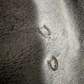 Studded Huggie Earrings - Silver