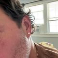 Classic Stud Earrings Gold