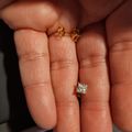 Square Stud Earrings Gold