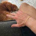 Cuban Link Bracelet 3mm