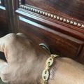 Iced Out Mariner Bracelet