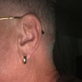 Classic Hoop Earrings - Gold
