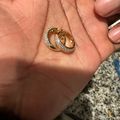 Iced Out Hoop Earrings - Gold