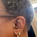 Women's Bold Medium Hoop Earrings