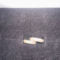 Iced Out Hoop Earrings - Gold