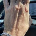 Signet Ring - Silver