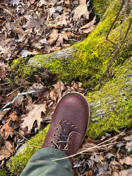 A brown leather boot stepping on moss-covered ground surrounded by fallen autumn leaves in a forest setting