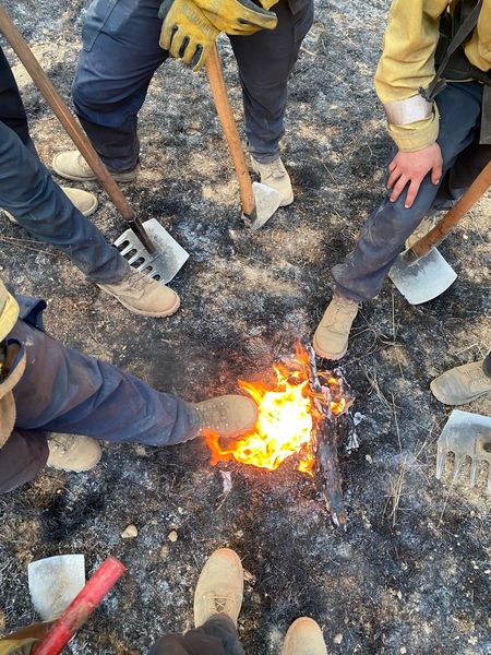 Firefighters using hand tools to extinguish flames and hot spots on burned ground during wildfire suppression operations