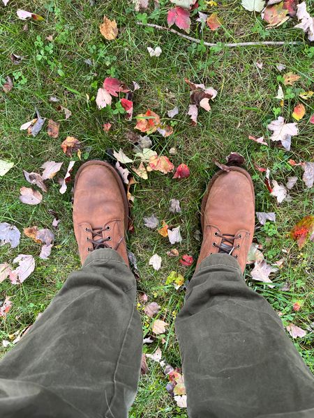 Spencer H. — 300X - Brown, customer-submitted