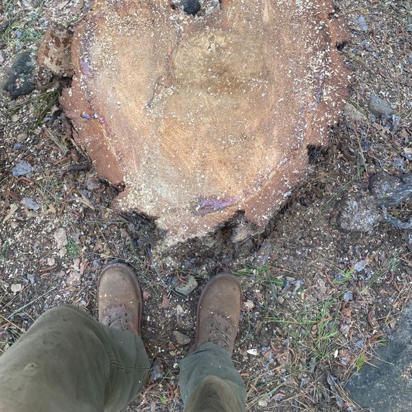 Brook S. — Superduty (Safety Toe) - Redwood, customer-submitted