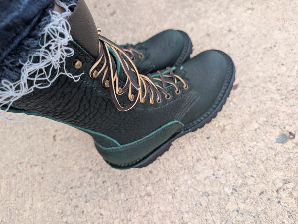 Laine S. — Raptor Rex, customer-submitted