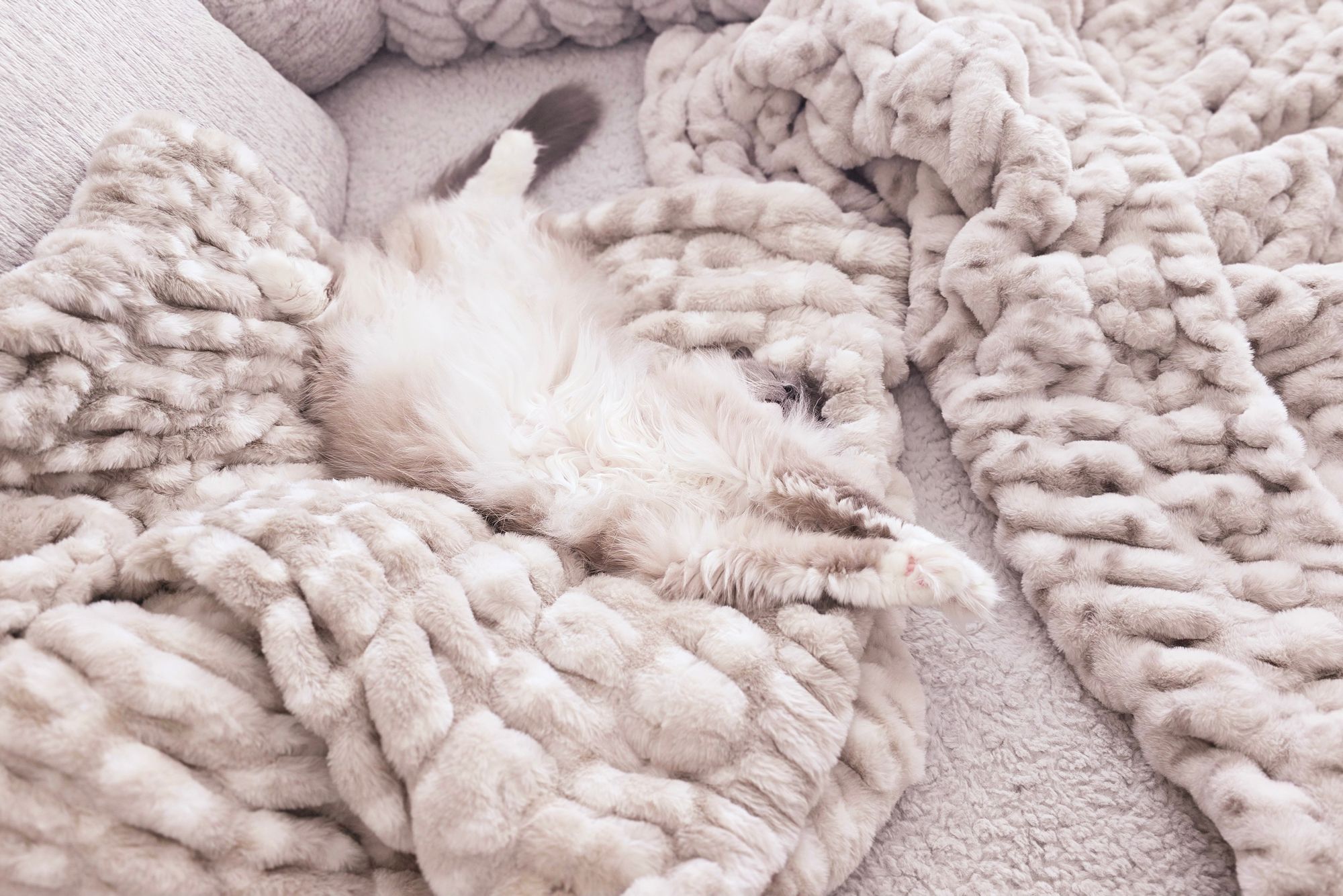 Antique Ivory Throw Blanket in Faux Fur | Lola Blankets