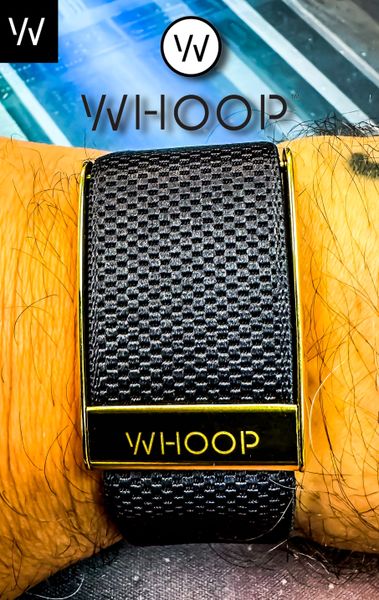 4.0 SuperKnit Luxe Band | WHOOP - The World display picture 1
