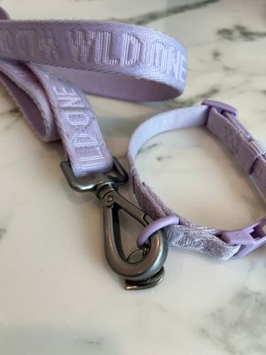 Purple dog leash with metal clasp lying on white surface