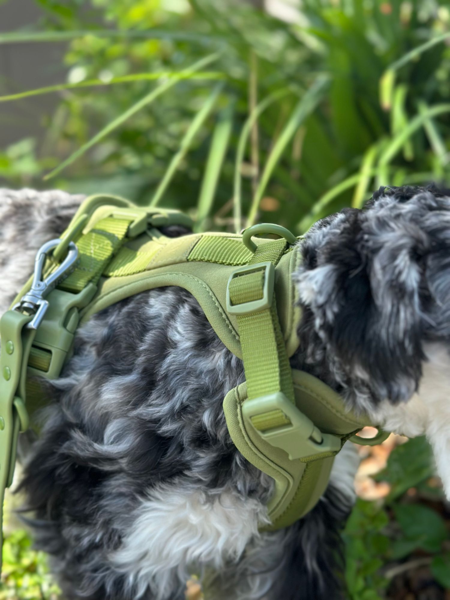 50 foot dog training leash Fenrir Slip Leash 1.4m Professional Dog Training Lead to Stop Pulling,   Fenrir Canine Leaders