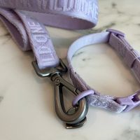 Purple dog leash and collar with metal clasp lying on white surface