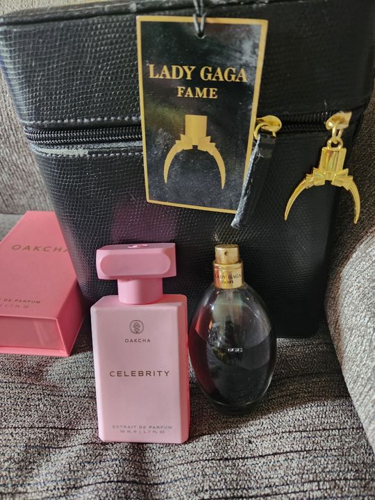 Celebrity Inspired by Lady Gaga's Fame Oakcha