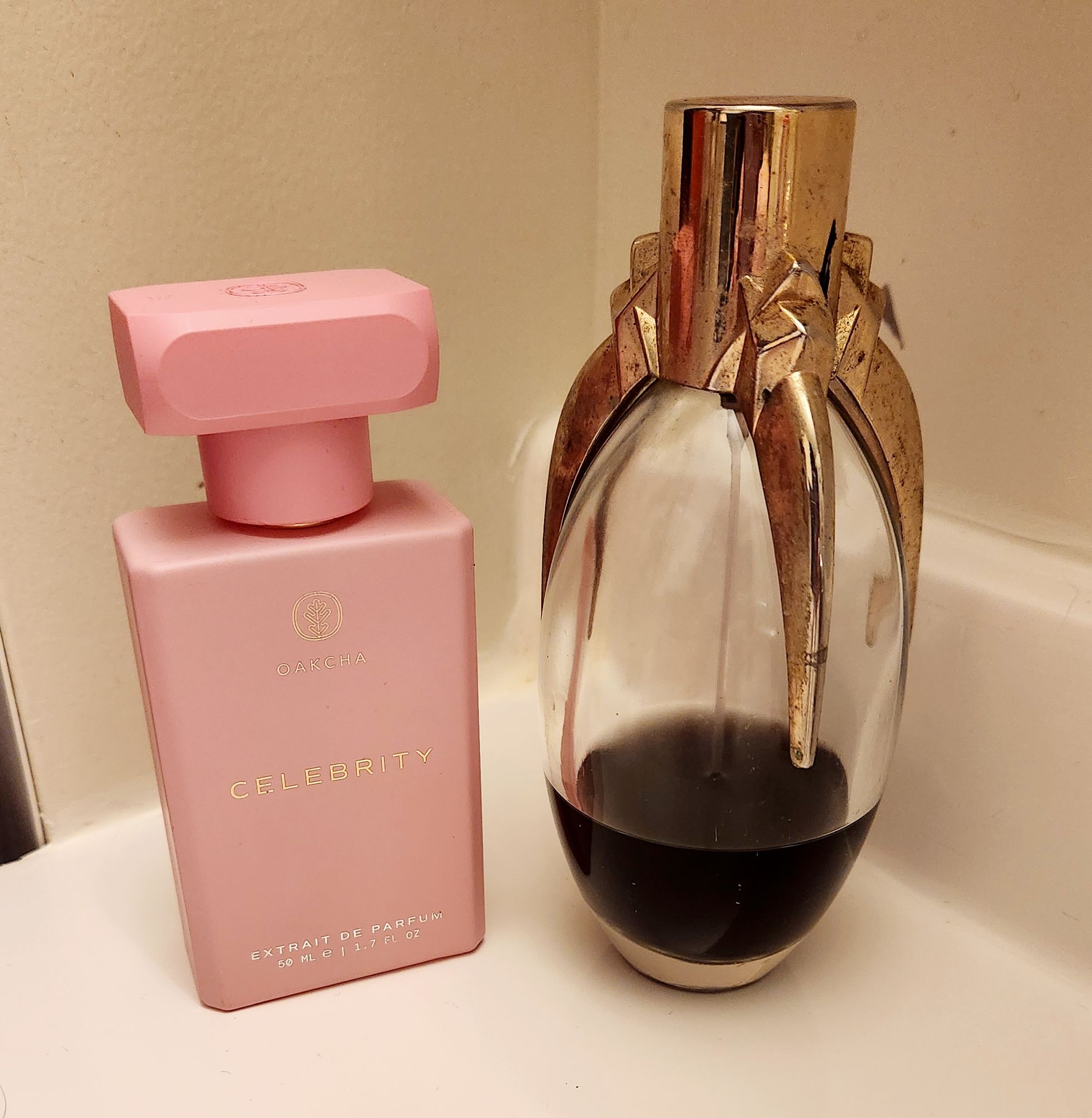 Celebrity - Inspired by Lady Gaga