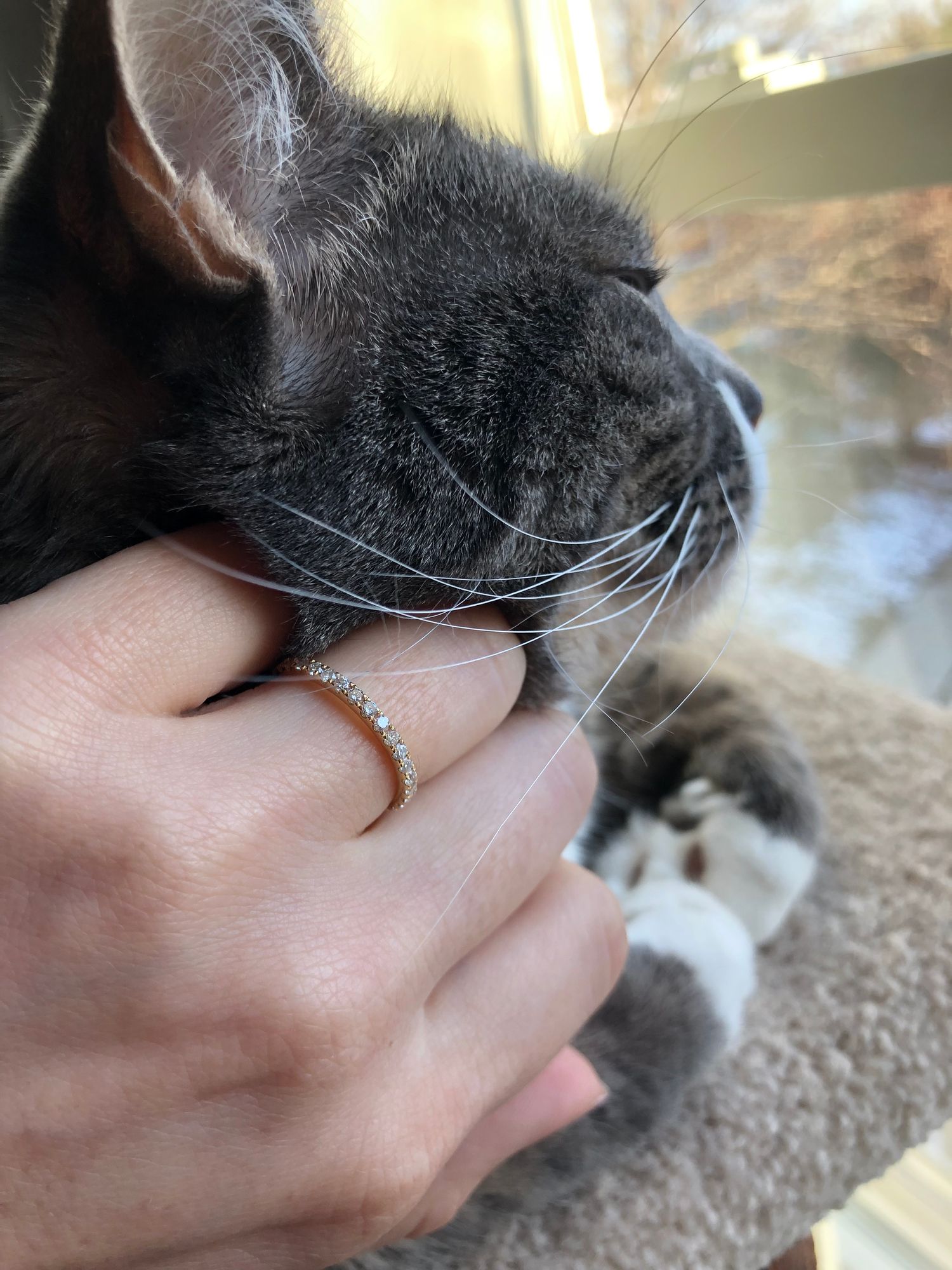 Dainty and sparkly review photo