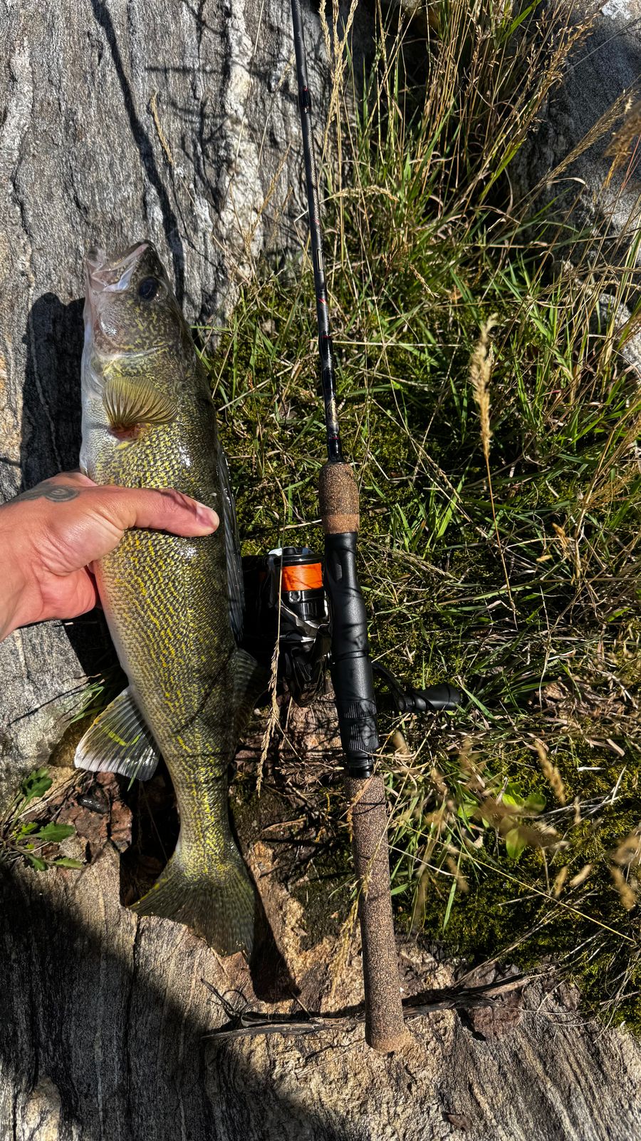 big rainbow trout lures Rapala Original Floating Lure, Truck Bed Nets you can give yourself COLOUR:M15 Abu Garcia 6500 Saltwater