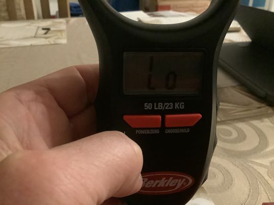 berkley fishing scale battery site www.ifish.net Digital Fish Scale with Tape-50