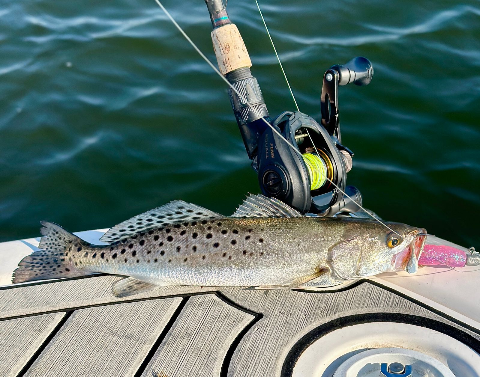 dragon tail fishing lure Savage Gear Dragontail Soft Baits Even when not moving the fly undulates and swirls Dragon Tail - Fish On!