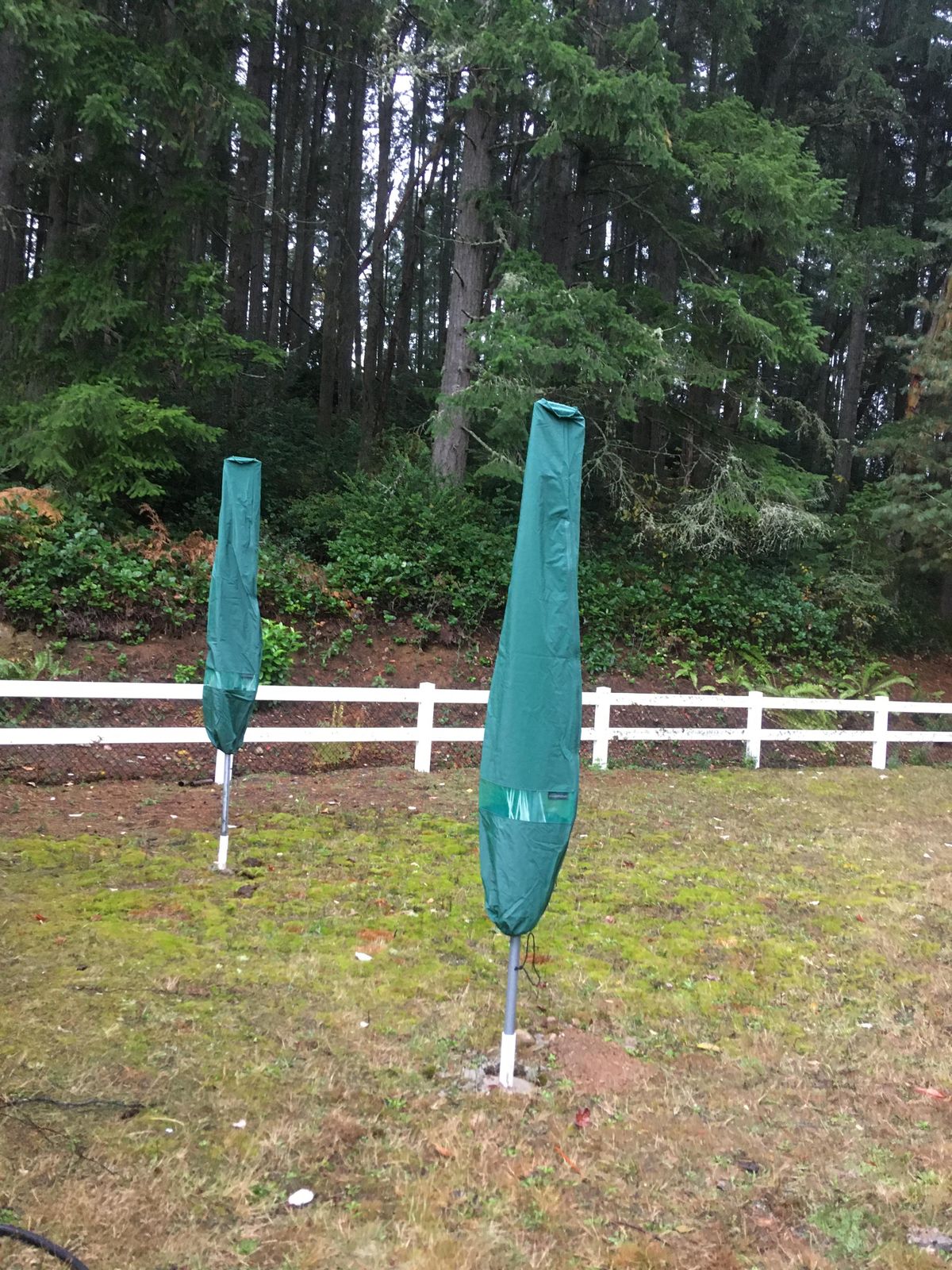 black patio umbrellas with scalloped edges JEAREY 9 ft. Outdoor Market Patio Umbrella with Scalloped Edge in Black  Crank Lift and Tilt System