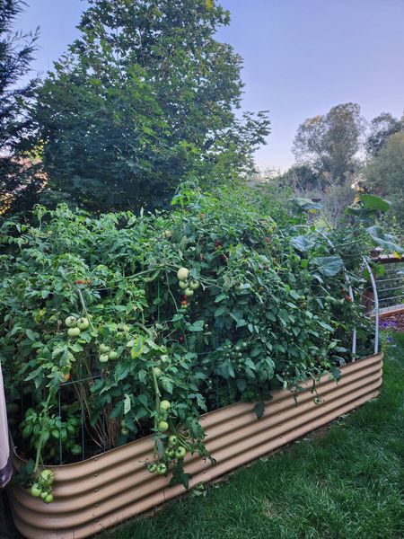 Epic 1020 Universal Bottom Tray  Epic Gardening