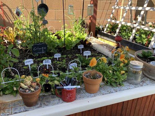 Plastic Plant Labels, 100 Pcs, 4, White, Plant Markers, Plant Tags