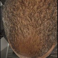 Customer-uploaded image. Click to see more details. The image represents: Back view of a person's head showing textured hair pattern