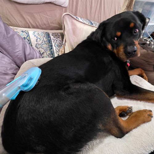 Kendall R. review photo
