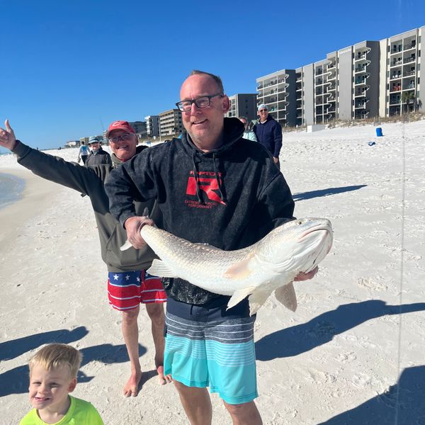 battalion 10ft fishing pole PENN II 10' Surf Spinning Rod; Two Piece Rod, 12-20lb Line Rating, Medium Rod Power, Moderate Fast Action, 3/4-3 oz. Lure Rating : Sports & Outdoors Fuji Alconite guides Penn Squadron Iii 10ft Surf