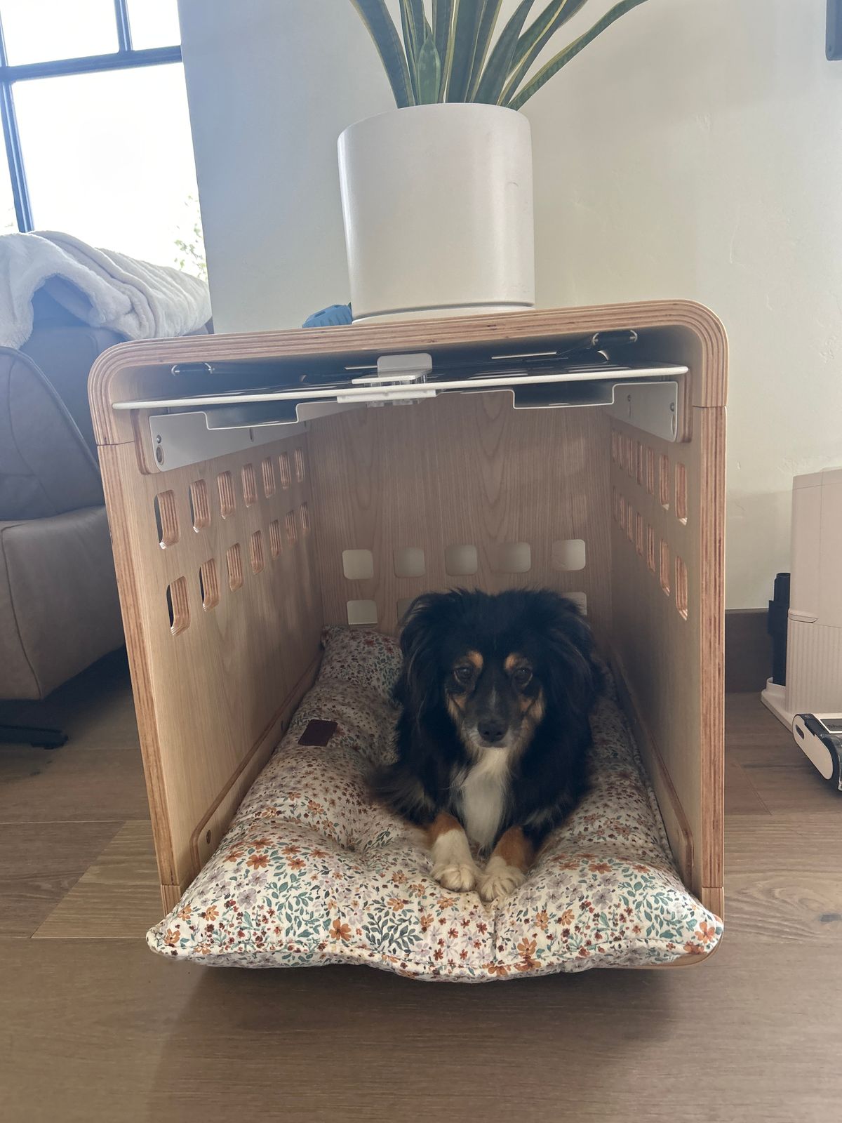 Fable A Stylish Dog Crate Furniture In One