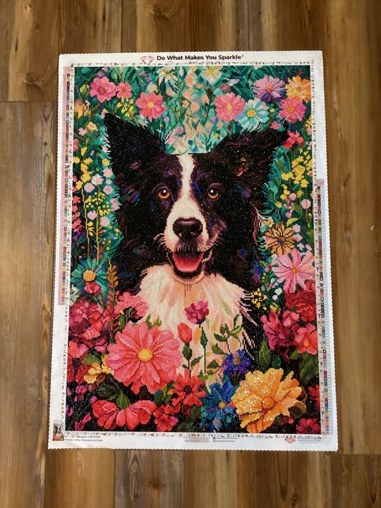 Cane Pittura Diamante Animale Border Collie Levriero Afgano