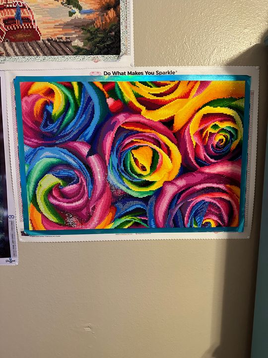 tim hortons rare hockey cards Rainbow Roses  Diamond Art Club