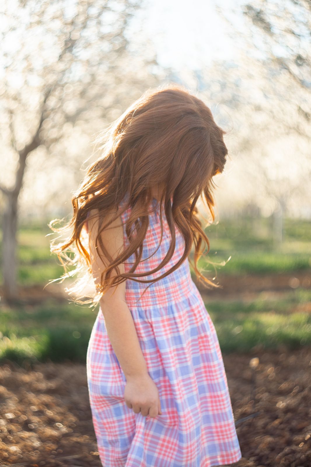 blue and pink plaid dress Mini Ana Dress in Blossom Plaid – Ivy City Co