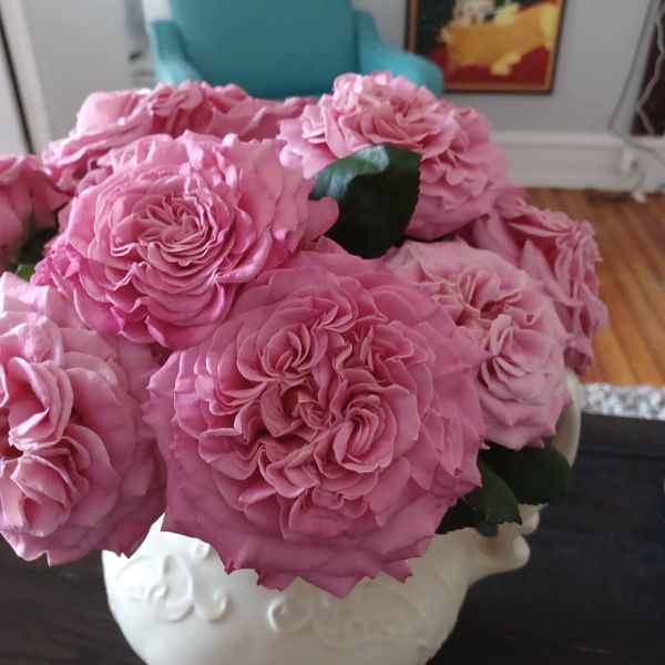 Ashley Bouquet | Pink Garden Rose Bouquet