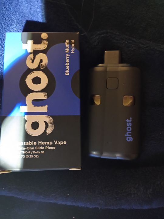elf bar vape uk Blueberry Muffin - 3g Dispo - Anchored main image 0