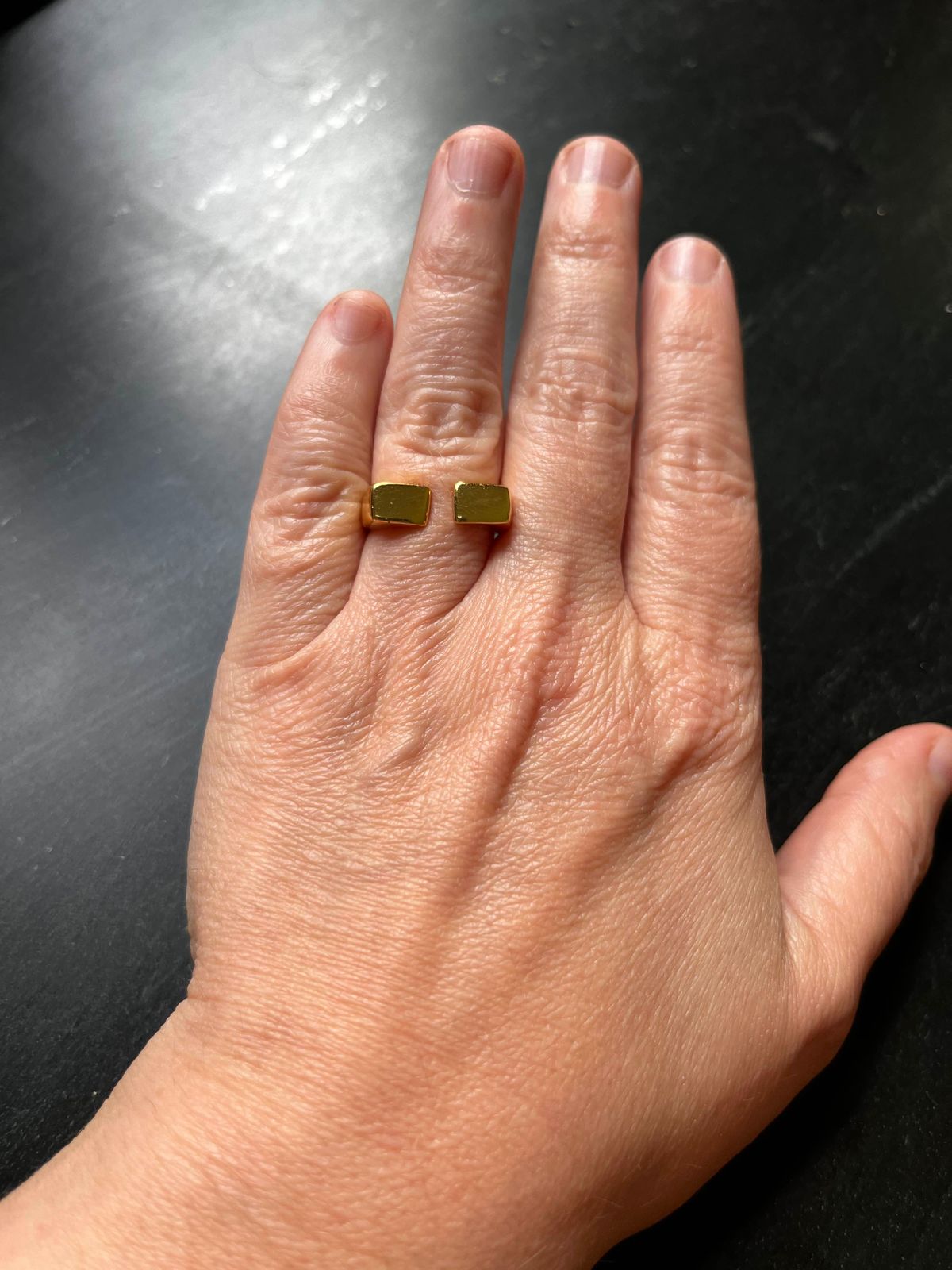 Poppy Brass Flat Round Signet Ring 18k Gold – INK+ALLOY LLC